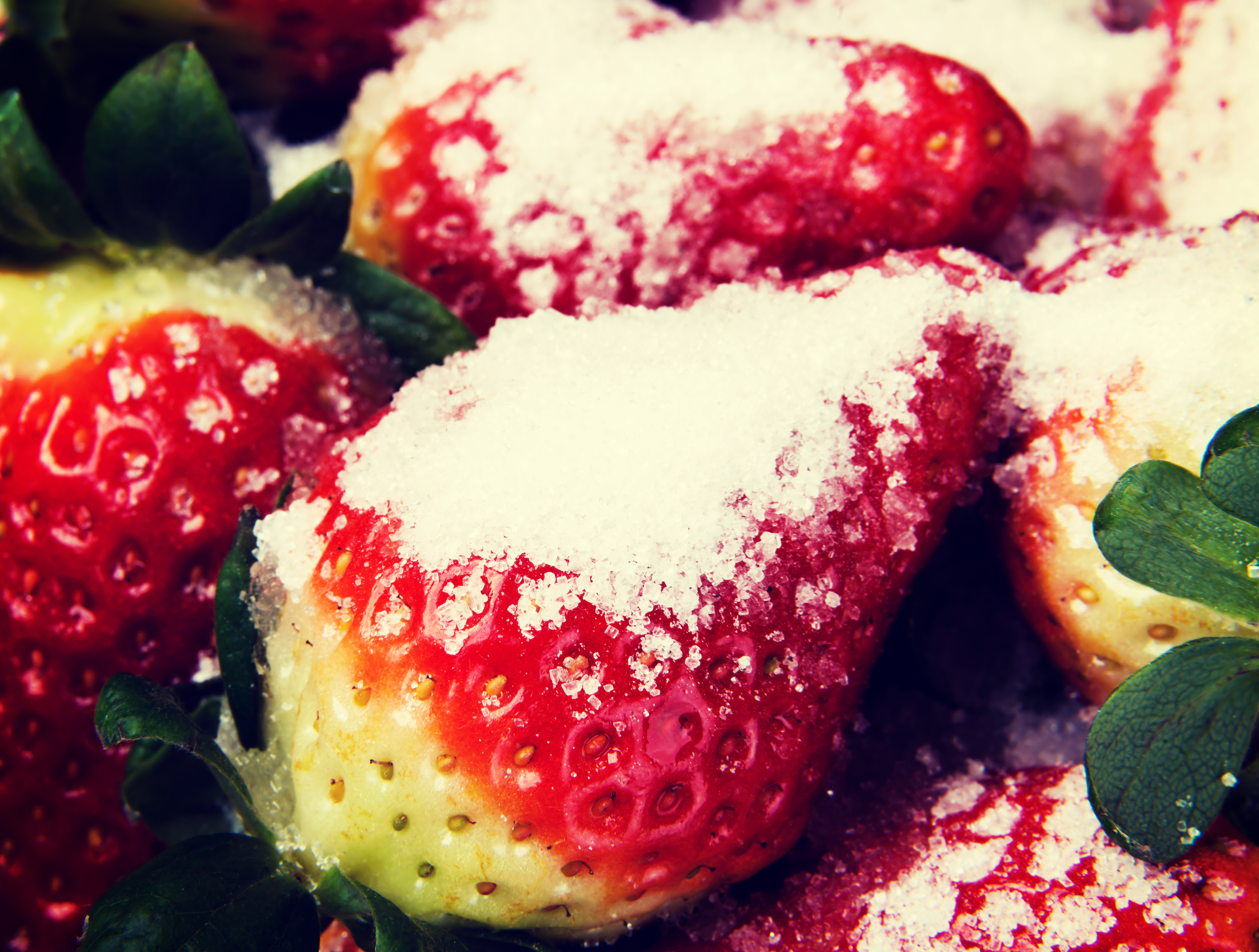 Close up on fresh red strawberries with sugar.